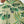 Camisa Cuello Sport manga corta Acre verde Hombre