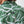 Camisa Cuello Sport manga corta Plantación verde Hombre