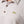 Camisa Polo  Morganita beige Hombre