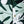Camisa Cuello Sport manga corta Monstera verde jade Hombre
