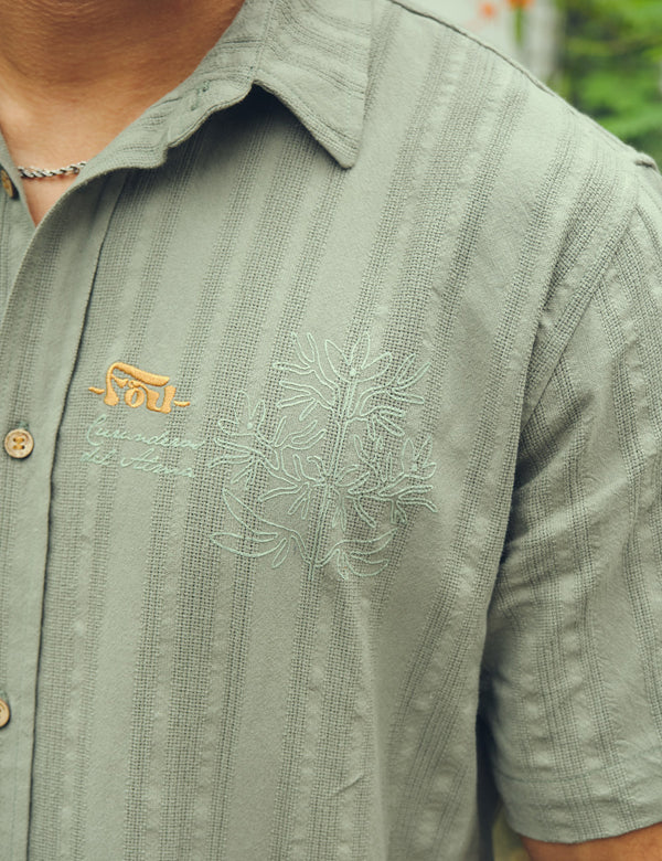 Camisa Regular Fit Espiritu verde pistacho Hombre