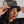Fisher Hat Amanita multicolor Unisex