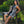 Vestido Corto cuello Fauno Alto negro Mujer