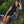 Vestido Corto cuello Fauno Alto negro Mujer